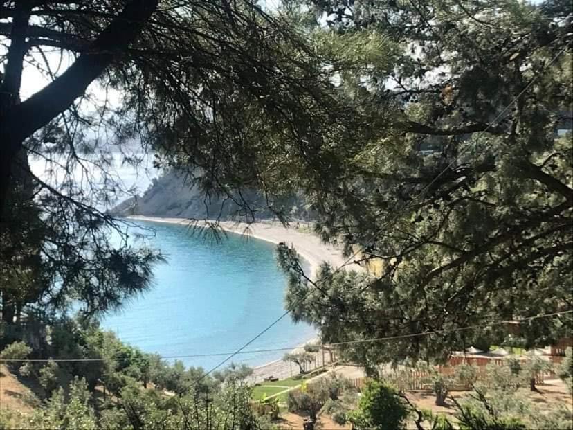 Xenia Apartment Κοκκάρι Εξωτερικό φωτογραφία